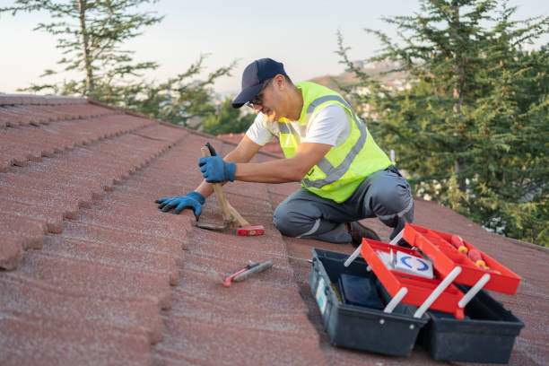 Best Roof Moss and Algae Removal  in Garfield, NJ